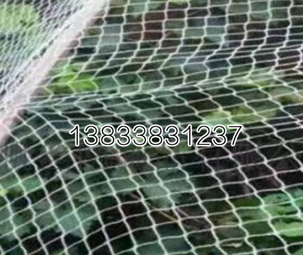 防雹网厂家